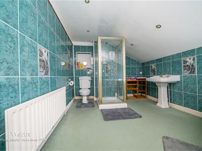 Picture 19